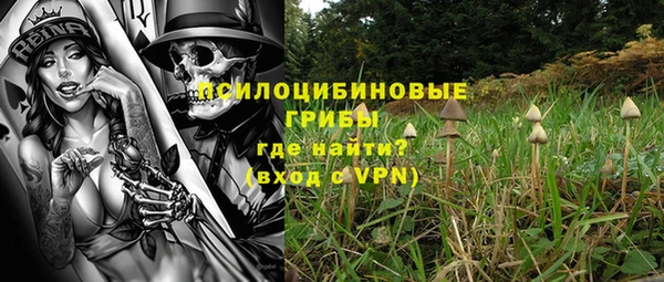 стаф Бронницы