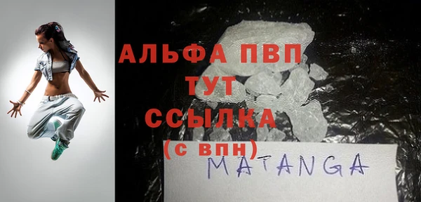 индика Богданович