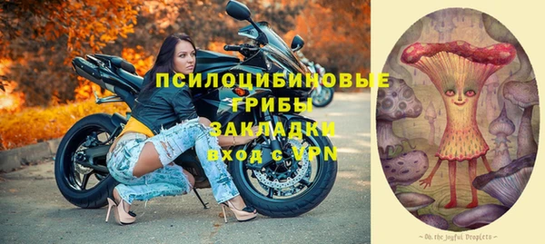 стаф Бронницы