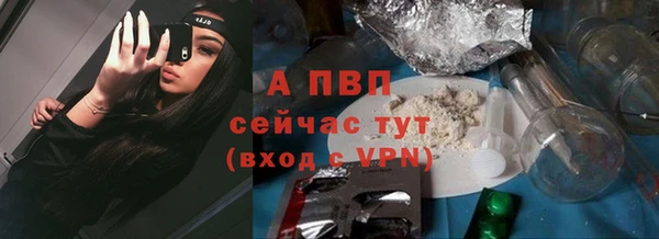 стаф Бронницы