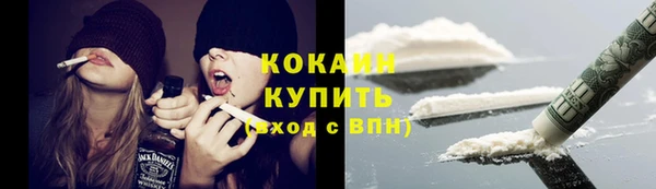 мет Бородино
