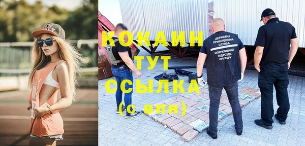 мет Бородино