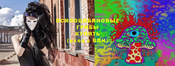 мет Бородино