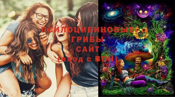мет Бородино