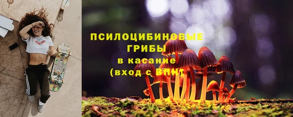 индика Богданович