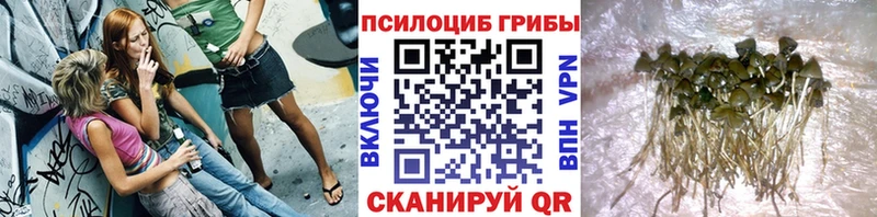Галлюциногенные грибы прущие грибы закладка Кореновск